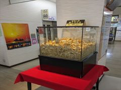 静岡 土肥金山写真2